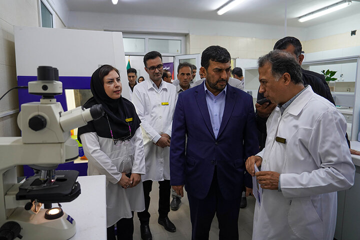 بازدید مدیرعامل شرکت ملی صنایع مس ایران از طرح‌های توسعه‌ای مجتمع مس سرچشمه