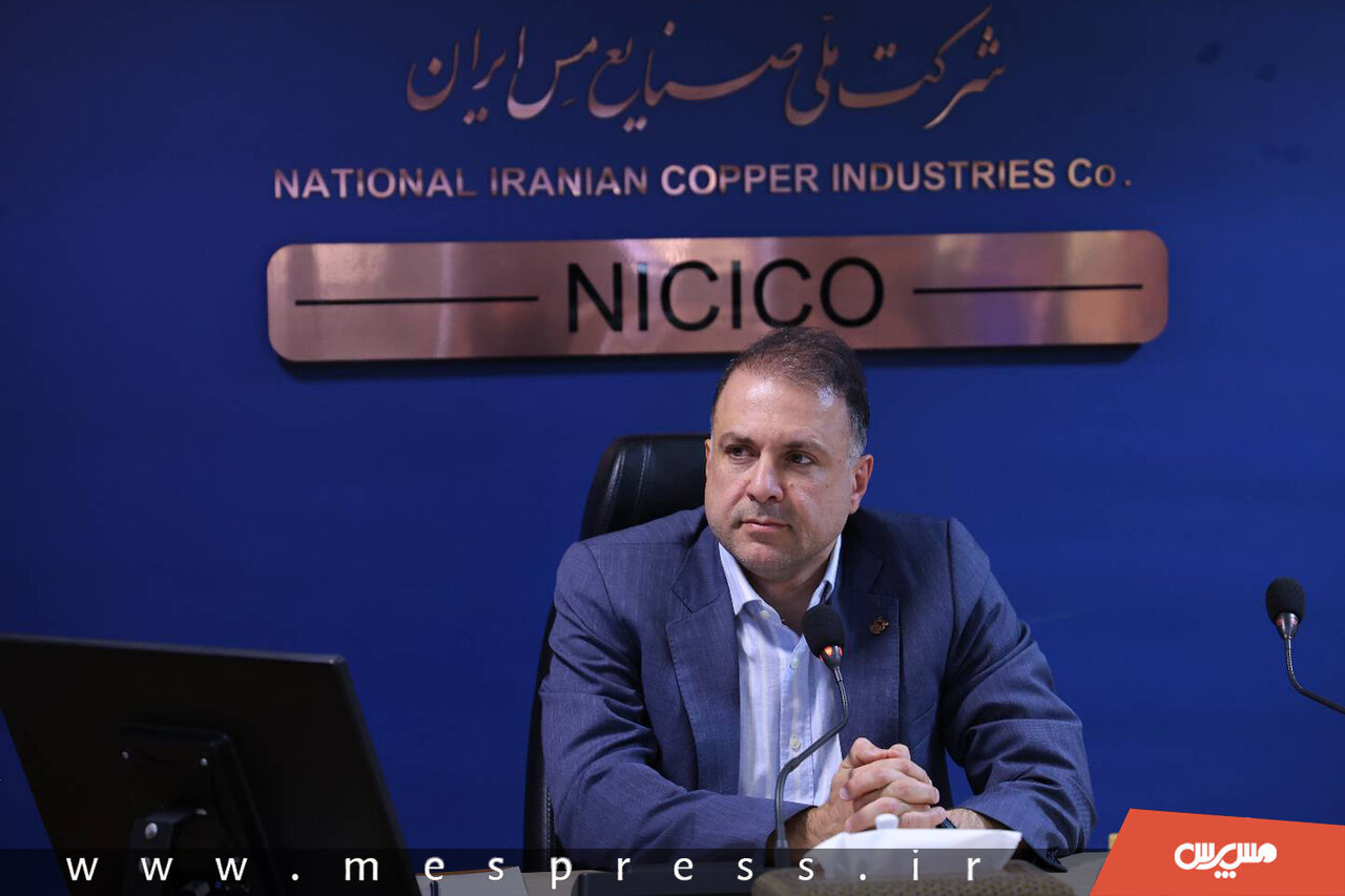هماهنگی راهبردی شرکت ملی مس و صندوق بازنشستگی ضروری است